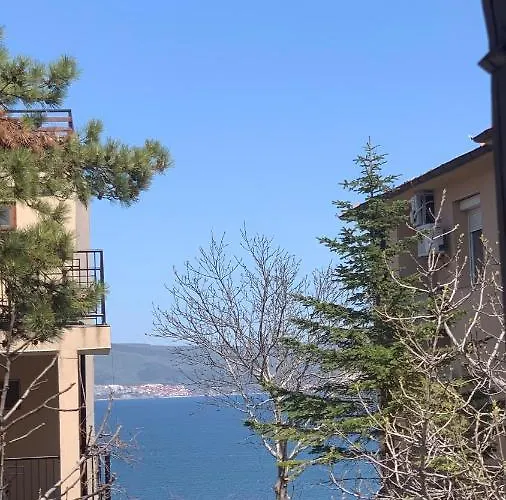 Guest house Katya 4*